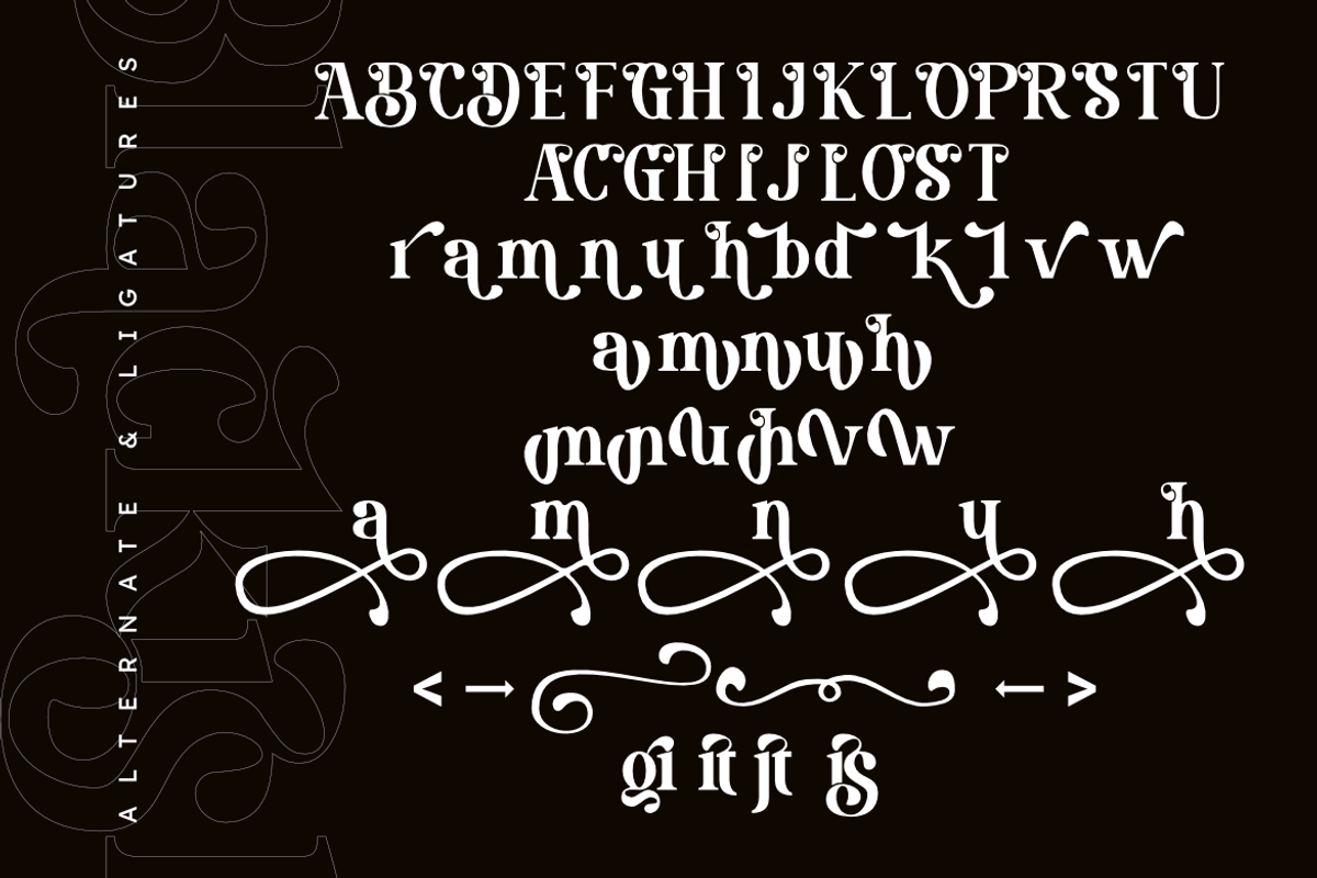 Blackish | Sophisticated Classic, a Serif Font by Masyafi Studio (Photo 4 of 8)