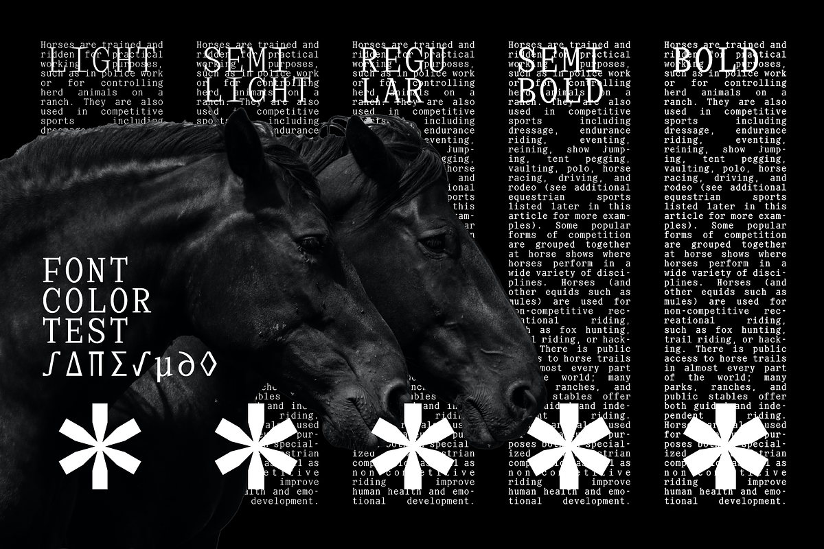 Virgil Monospaced Font, a Serif Font by That That Creative (Photo 4 of 8)
