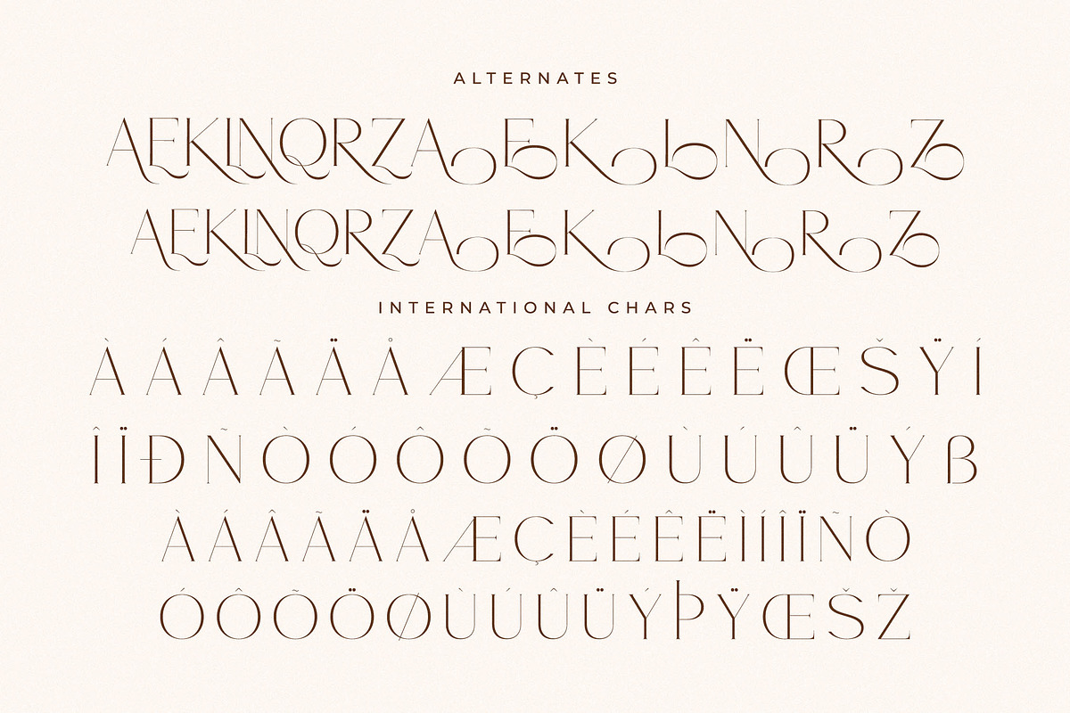 Noracle Modern Font Serif Alternate, a Serif Font by Storytype Studio (Photo 14 of 15)