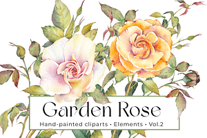 Watercolor Garden Rose Clipart Vol.2