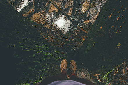 Nature banner containing web banner, banner, and photography