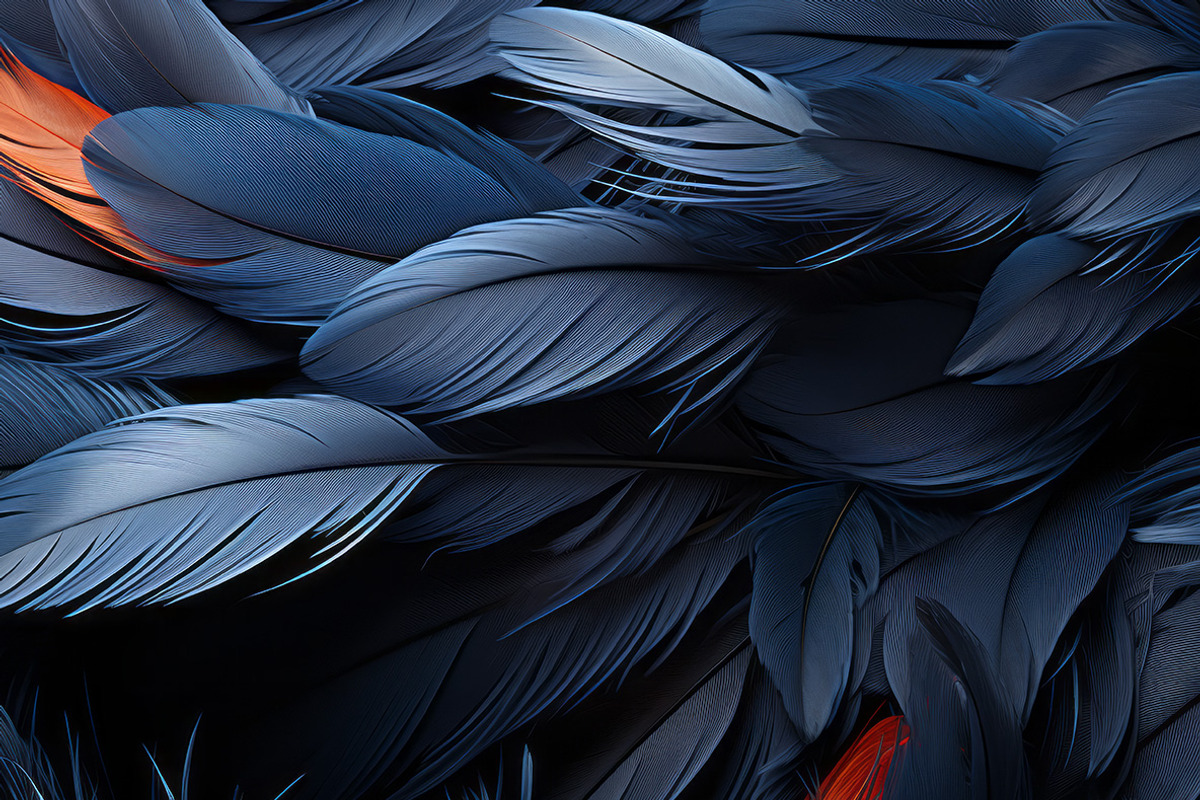 Feathers. 54 images, an Animal Illustration by Handmadefont (Photo 3 of 12)