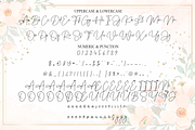 Flowers Decoration | Script Font, a Handwritten Font by Scratchones (Thumbnail 7 of 8)