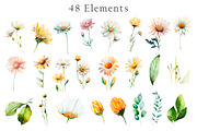 Watercolor Daisies Flowers Clipart, an Object Illustration by Evgeniia (Thumbnail 4 of 8)