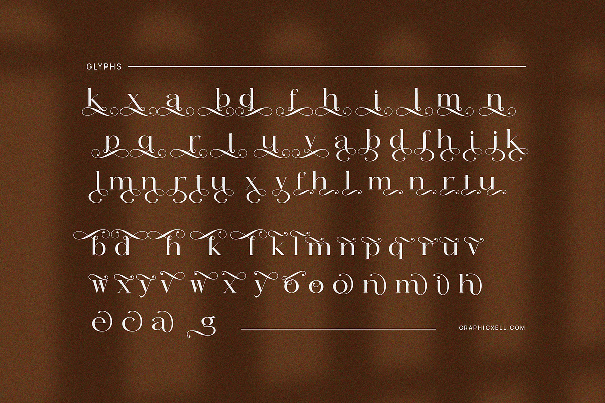 Voting Calligraphy Serif Font, a Serif Font by Graphicxell (Photo 9 of 9)