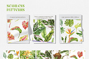 Tropical Leaves Watercolor, a Decorative Illustration by Volha Studio (Thumbnail 10 of 11)