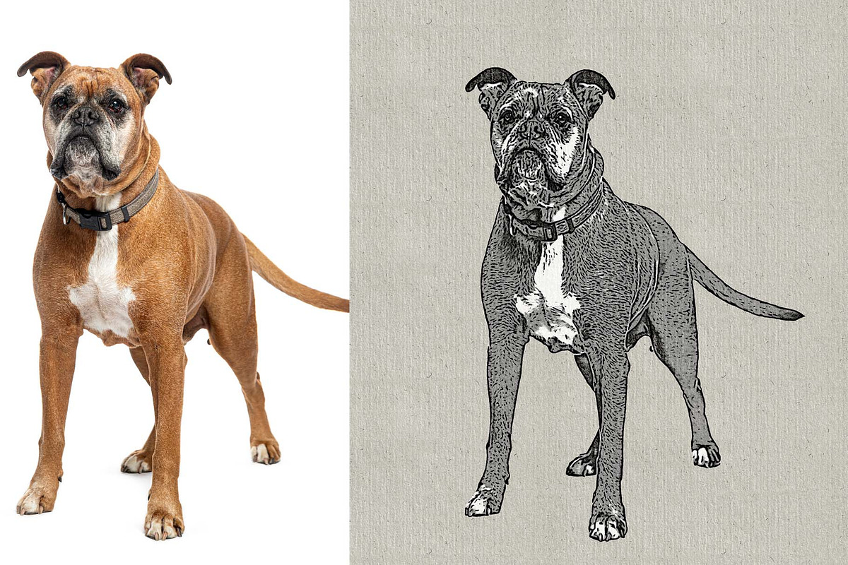 Realistic Ink Drawing Photo Effect, an Action Add-On by MRI STUDIO (Photo 7 of 11)
