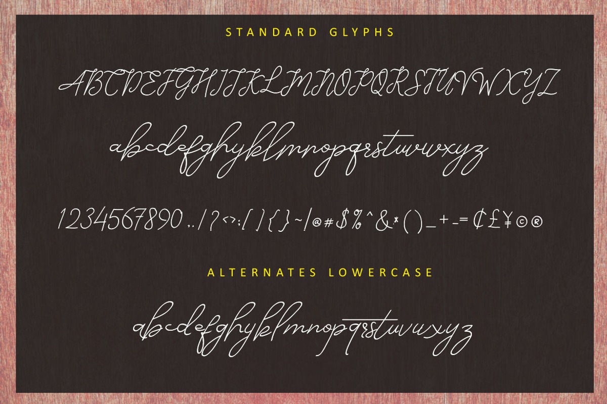Alesana Signature, a Script Font by AMINMARIO (Photo 12 of 14)