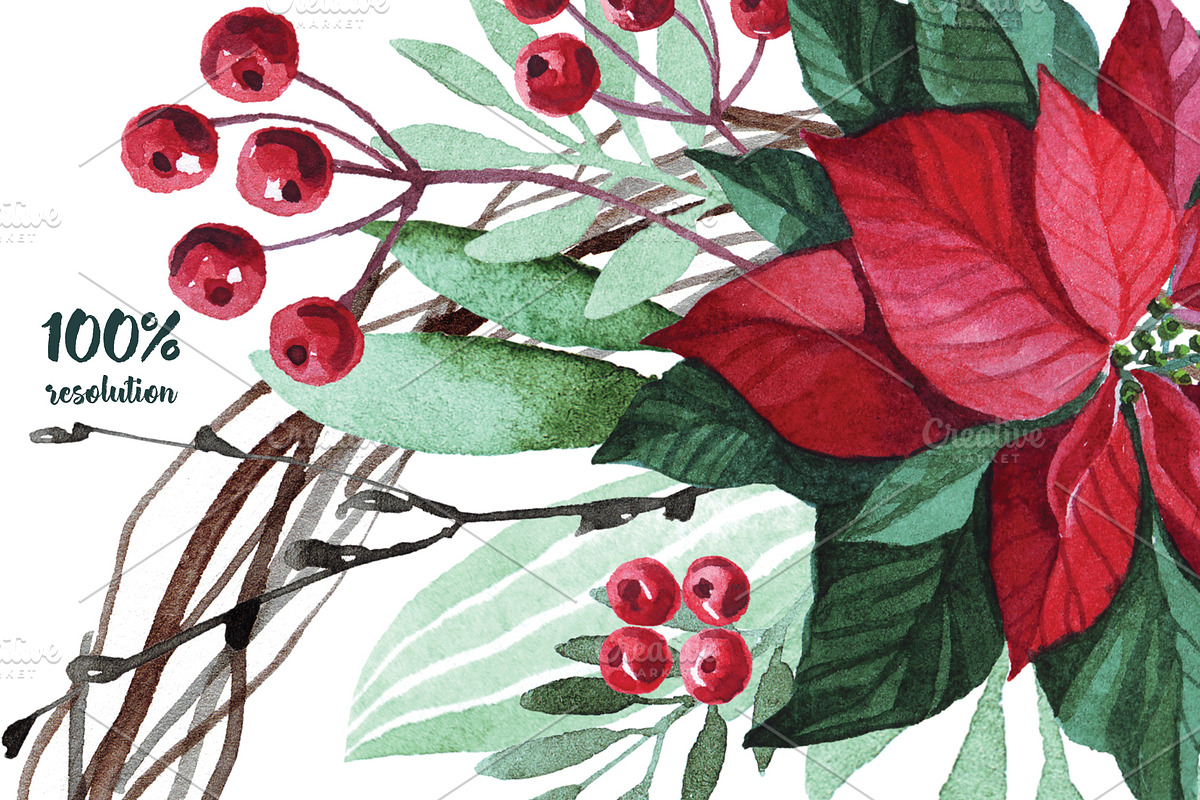 Watercolor Christmas flowers, a Decorative Illustration by YuliaBiser (Photo 3 of 10)