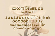 Lootta – Bold Rounded Display Font, a Serif Font by Artiveko (Thumbnail 7 of 8)