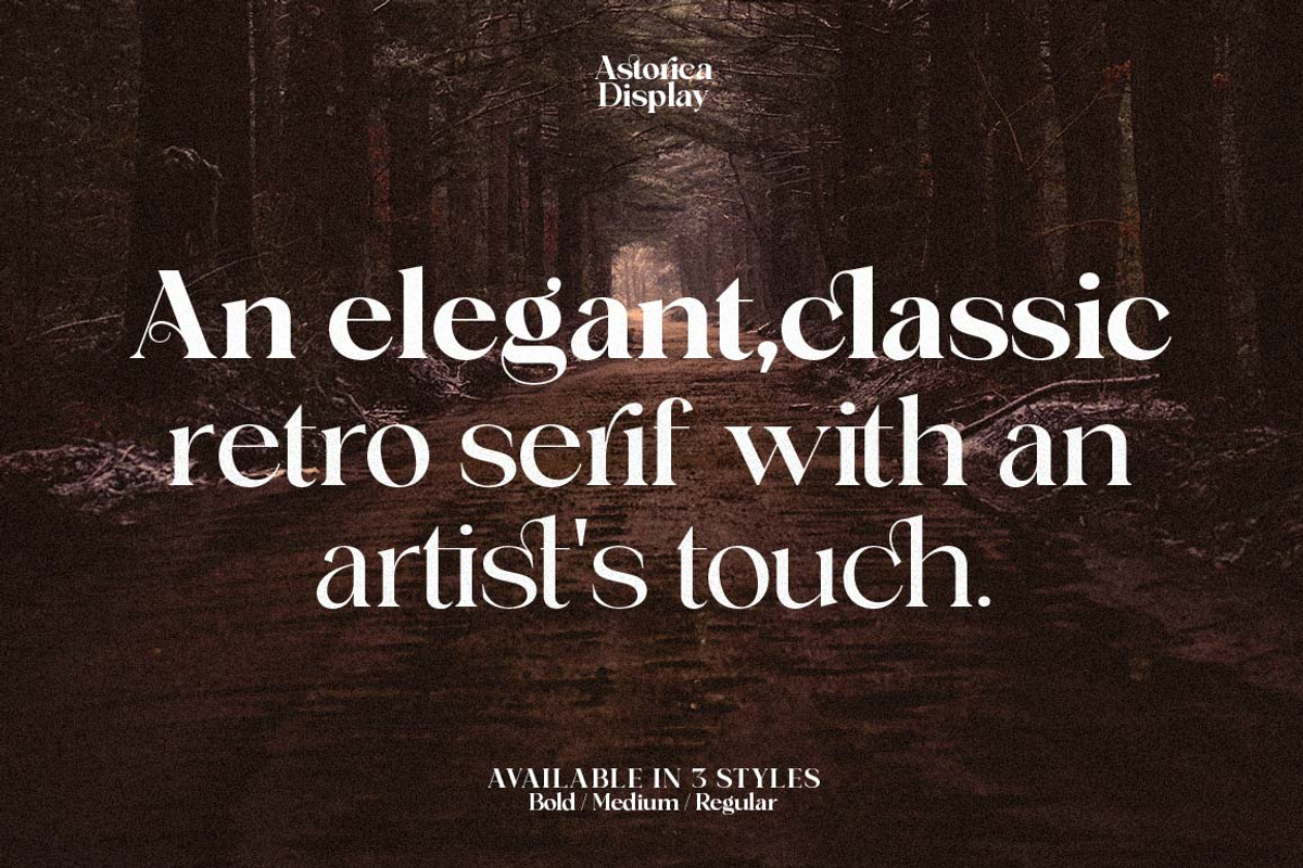 Astorica Display -  Font Family, a Serif Font by Zane Studio (Photo 5 of 16)