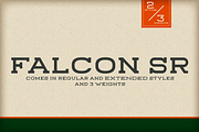 Falcon SR, a Serif Font by Foundry73 (Thumbnail 1 of 6)