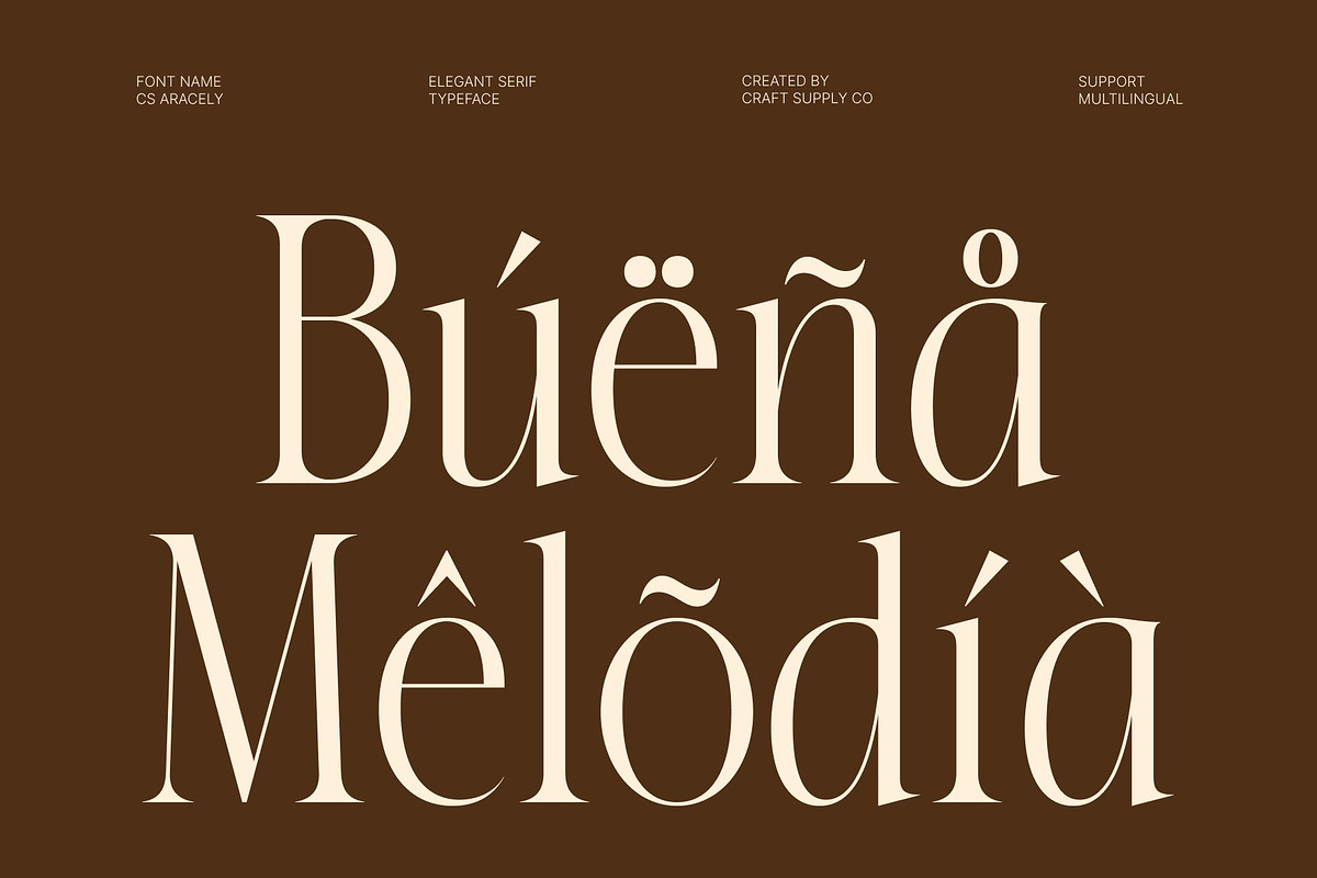 CS Aracely – Elegant Serif Font, a Serif Font by Craft Supply Co. (Photo 7 of 8)