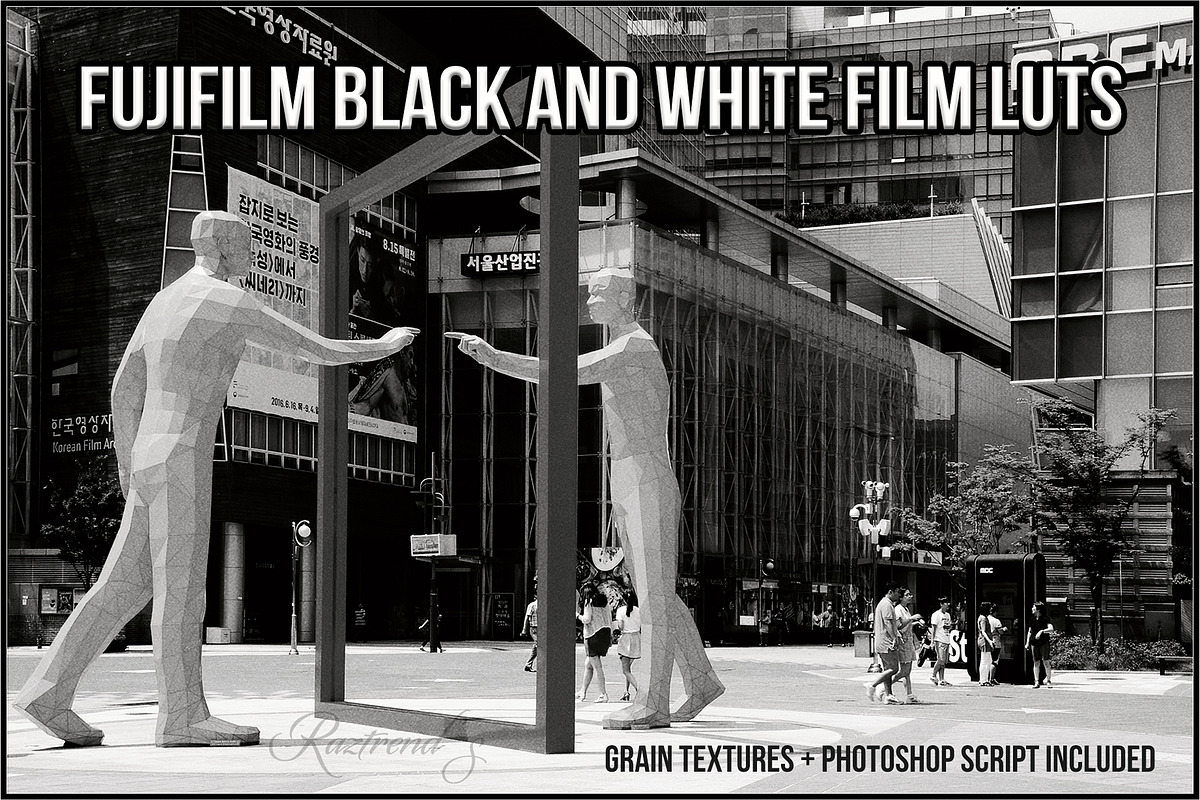 Fujifilm Black and White Film LUTs, a Plug-in Add-On by Raztrend (Photo 1 of 30)