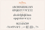 Mailton Typeface, a Serif Font by alit design (Thumbnail 7 of 23)