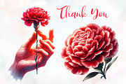 Carnation Flower Watercolor Clipart, an Illustration by RobertsArt (Thumbnail 4 of 8)