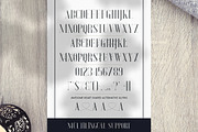 Desire - Luxury Serif Font, a Serif Font by VP Fonts (Thumbnail 8 of 10)