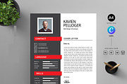 Professional Resume CV Template, a Resume Template by Blackcloud_Creations (Thumbnail 6 of 8)