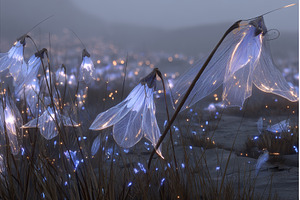 Conceive a dazzling Garden, an Abstract Photo by ZinetroN