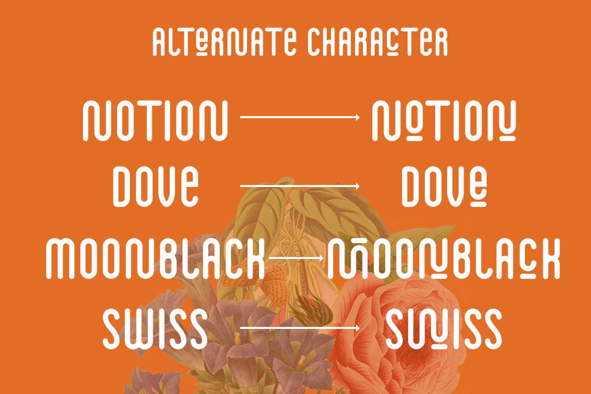 Summersun - Monoline Bold Font preview 4