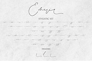Emeria -Luxury Calligraphy Font, a Script Font by Fikryal Studio (Thumbnail 11 of 12)