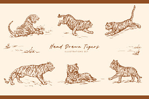 Hand Drawn Tigers Illustrations Set, an Animal Illustration by MalyskaStudio