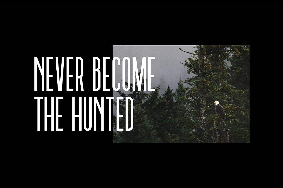 Tall Eagle, a Sans Serif Font by Dead Moose Studio (Photo 12 of 12)