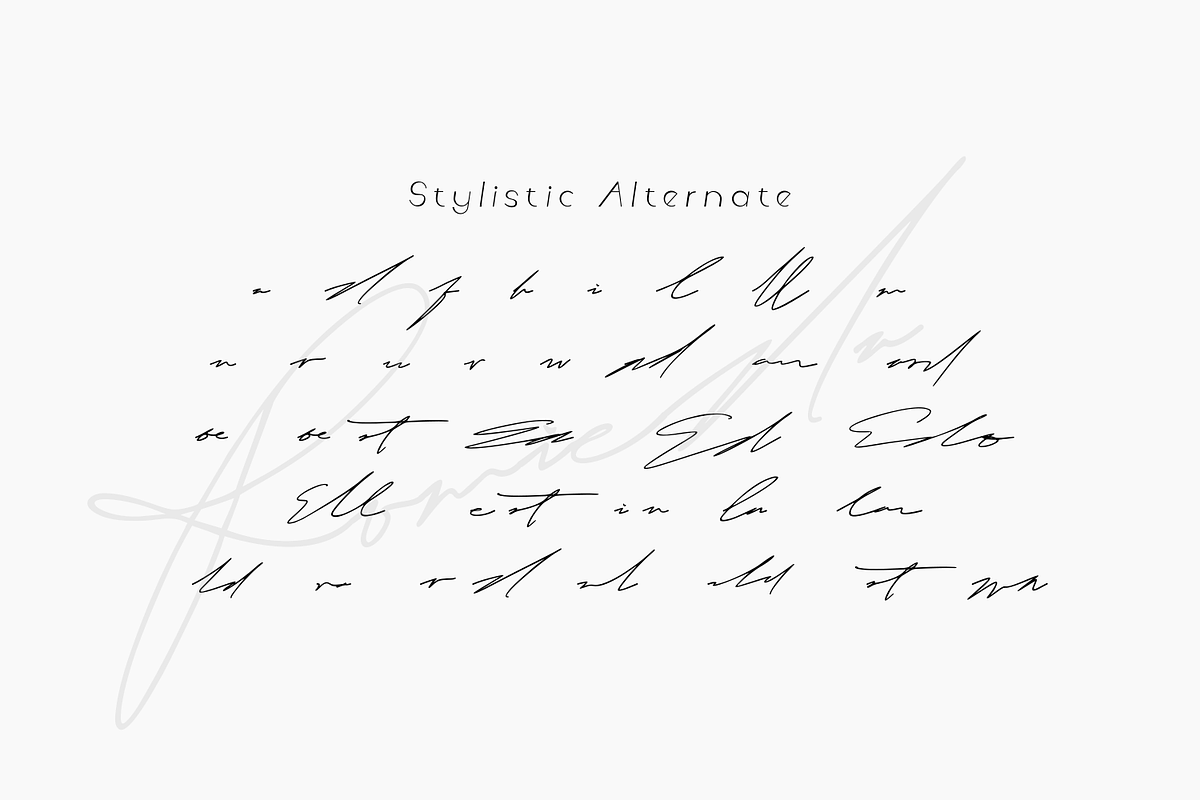 Romieda | Signature Script, a Script Font by Mozyen Studio (Photo 10 of 11)