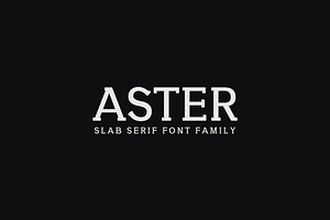 Aster Slab Serif 9 Font Family Pack