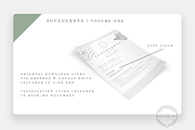 Succulent Procreate Stamps + PNG, a Brush Add-On by SorrDesign (Thumbnail 4 of 5)