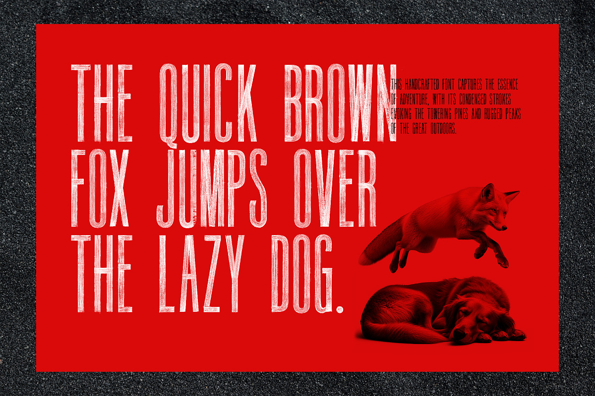 Rondack SVG - Ultra Condensed Font, a Handwritten Font by Surplus Type Co (Photo 7 of 10)