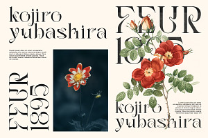 Ola Braga Elegant Serif