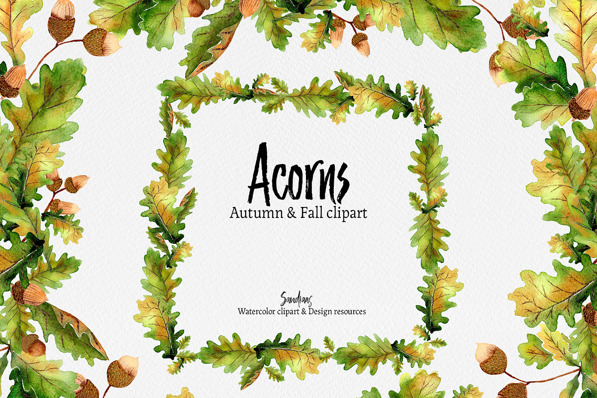 Autumn clip art: ACORNS watercolor, an Illustration by SandraGraphicDesign (Photo 1 of 7)