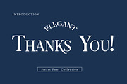 Elegant, a Serif Font by Wow Magic (Thumbnail 3 of 3)
