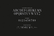 Micky Thank Minimalist Serif Font, a Serif Font by Perfectype (Thumbnail 8 of 8)