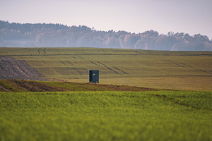 Hunting Stand #2, a Nature Photo by jakub_kopecky