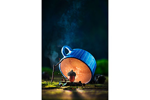 Golden acorn under a DIY trap
