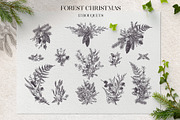 Forest Christmas  b&w, a Decorative Illustration by Lisla (Thumbnail 11 of 11)