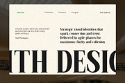 Fodera Elegant Expressive Modern, a Serif Font by OV Type (Thumbnail 5 of 10)