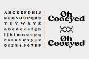 Valverde Functional Serif-36 Fonts, a Serif Font by Jehoo Creative (Thumbnail 7 of 15)