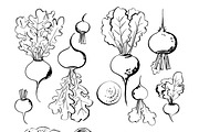 Vegetables vector sketch watercolor, a Food Illustration by irina.vaneeva (Thumbnail 15 of 18)