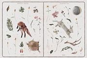 Stranger Forest Collection, an Animal Illustration by Julia Dreams (Thumbnail 5 of 12)