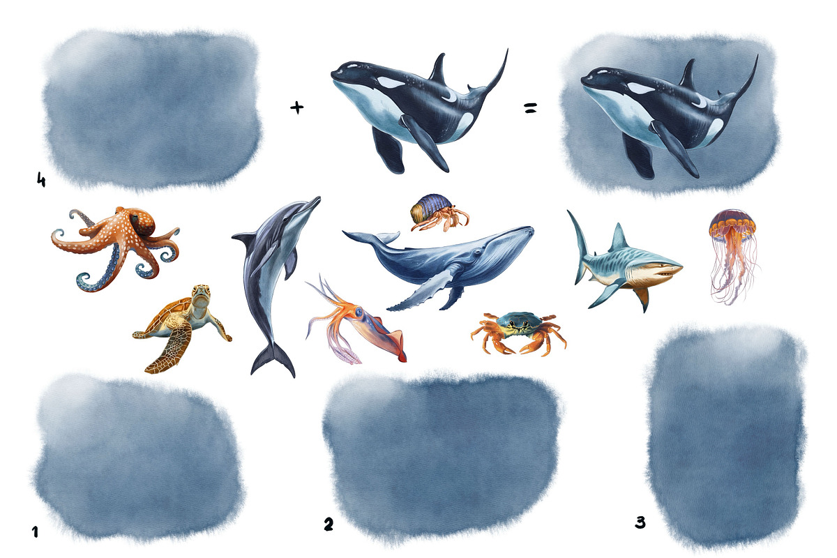 Underwater world watercolor collecti, an Animal Illustration by IrynaPanashii (Photo 4 of 16)