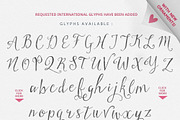 Stringfellows Typeface, a Script Font by Nicky Laatz (Thumbnail 2 of 5)