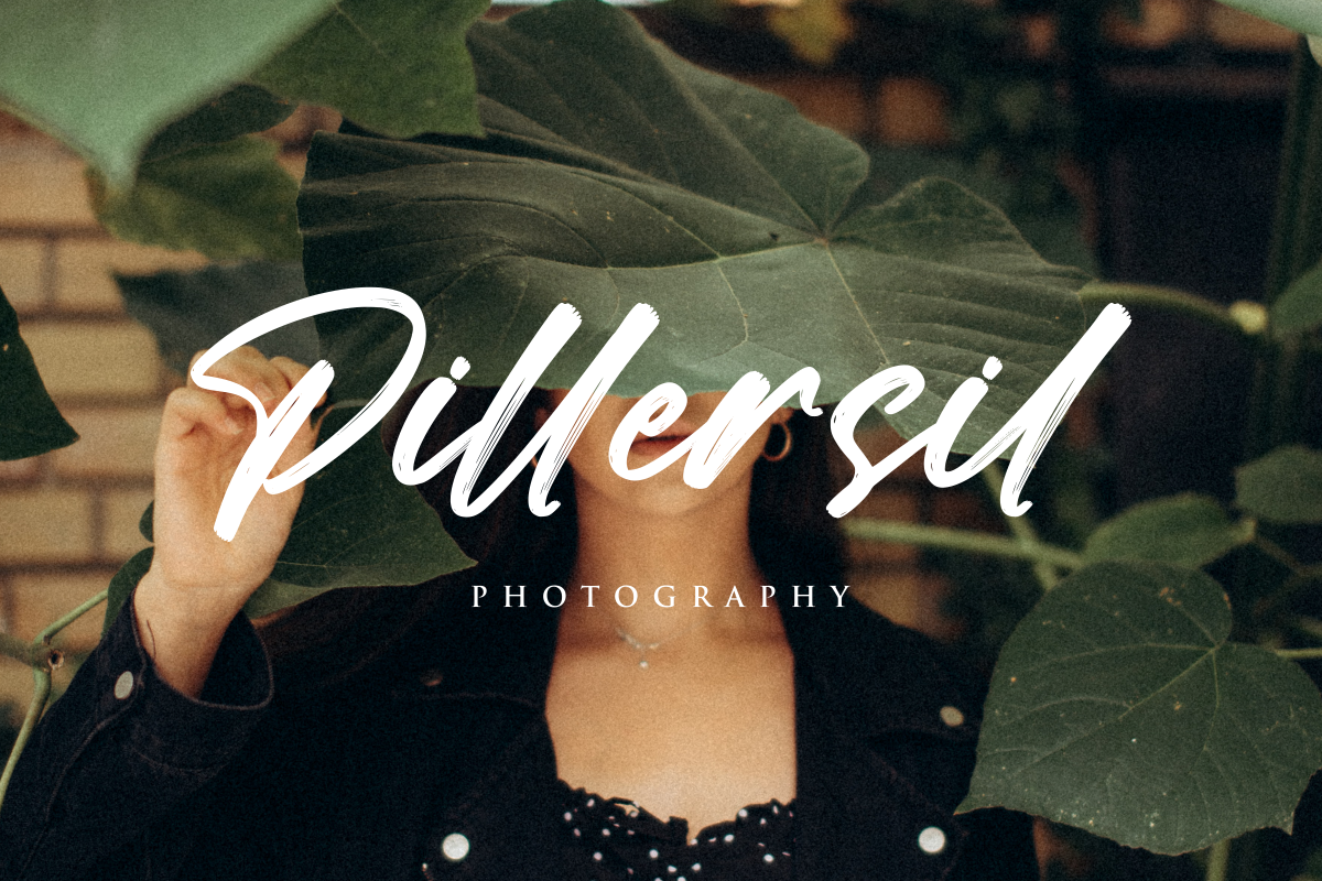 Mountain Hills - Brush Script Font, a Script Font by Fikryal Studio (Photo 7 of 11)
