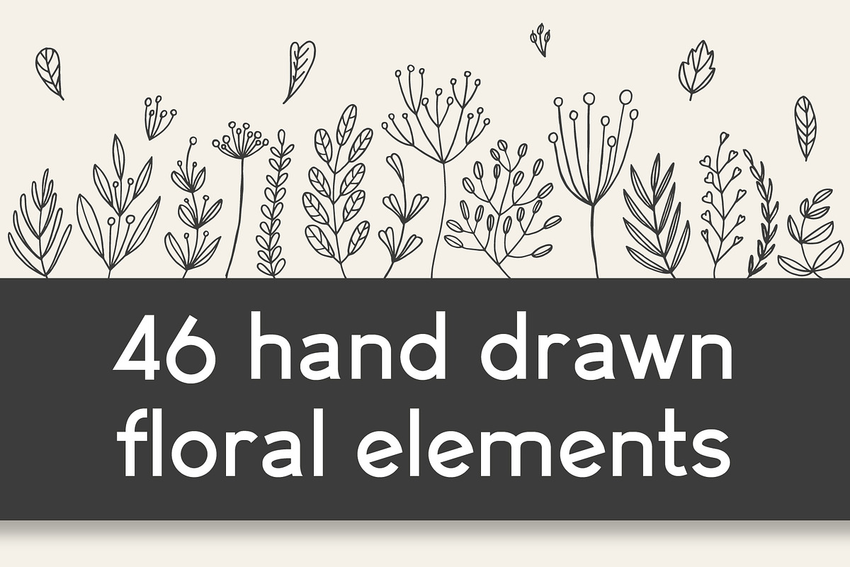 46 hand drawn floral elements, a Decorative Illustration by pixelwerk (Photo 1 of 3)