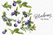 Blueberries watercolor clip art, a Food Illustration by Ann Astro (Thumbnail 4 of 13)