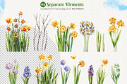 Daffodils  Houses, a Decorative Illustration by Watercolor by Tonia Tkach (Thumbnail 3 of 9)