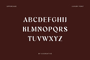 Holispay Vintage Serif Font, a Serif Font by UICreative (Thumbnail 8 of 13)