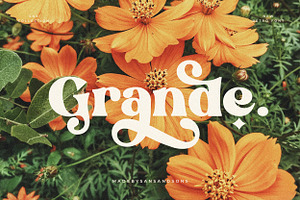 Grande - Retro Font